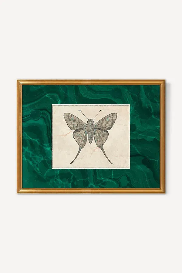 Ruti Shaashua Moth Wall Art - Green by Anthropologie