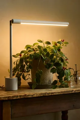 Soltech Grove & Versa Tabletop LED Grow Light - White, Aluminum product