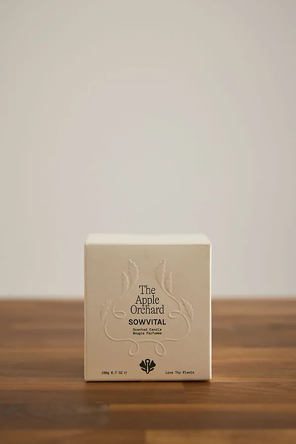 The Apple Orchard Glass Candle - Green, Cotton product