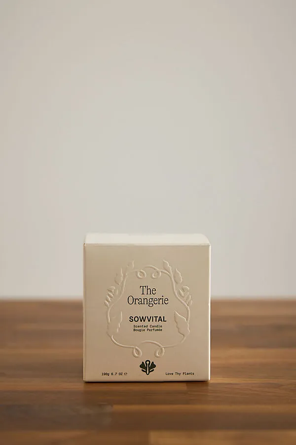 The Orangerie Glass Candle - Green, Cotton product