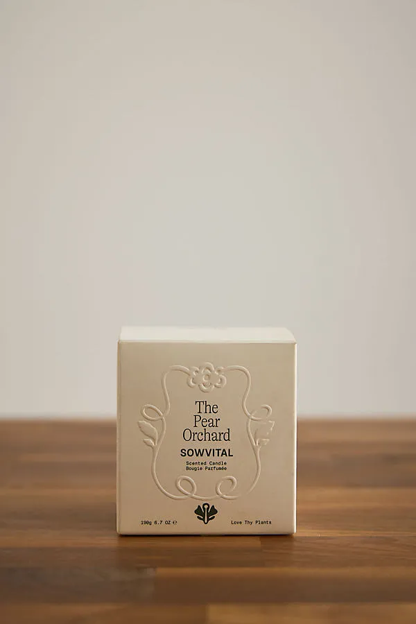 The Pear Orchard Glass Candle - Green, Cotton product