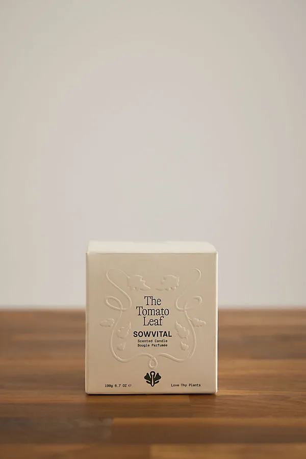 The Tomato Leaf Glass Candle - Green, Cotton product