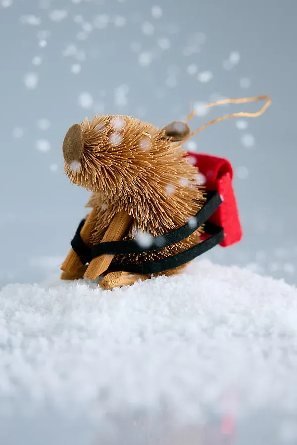 Bristle Capybara Decoration - Brown, Buri Fibre by Anthropologie
