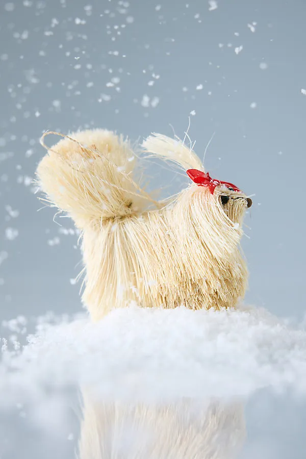 Bristle Maltese Decoration - White, Buri Fibre by Anthropologie