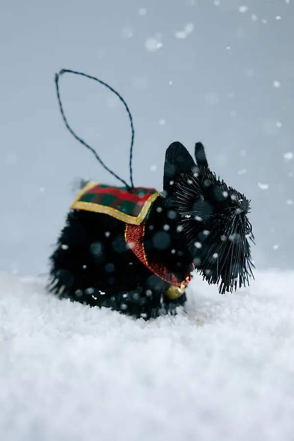 Bristle Scottie Dog Decoration - Black, Buri Fibre by Anthropologie