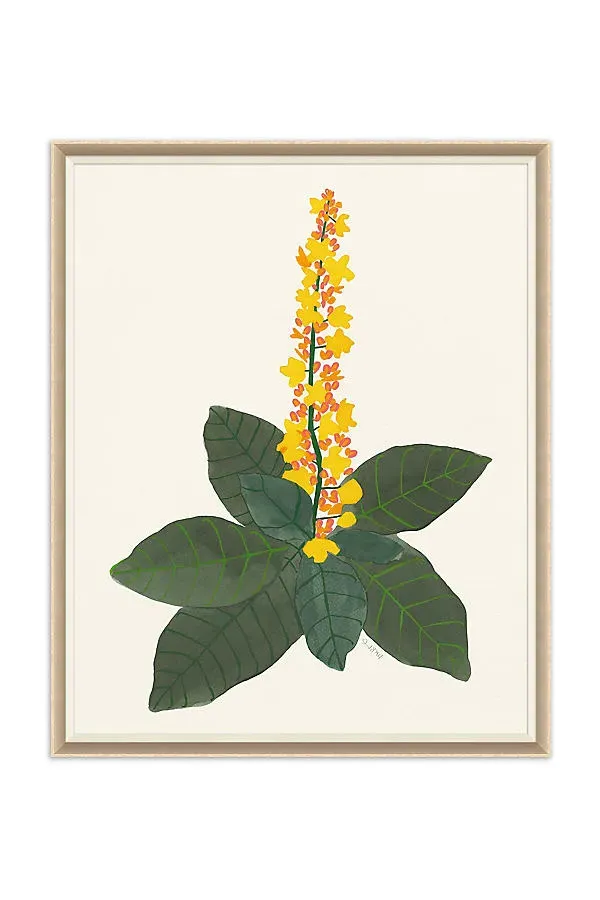 Susan Hable for Soicher Marin Euphorbia Wall Art - Green by Anthropologie