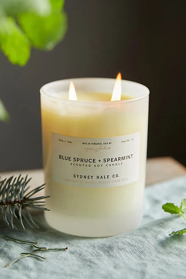 Sydney Hale Blue Spruce + Spearmint Candle by Anthropologie