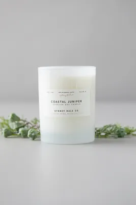 Sydney Hale Coastal Juniper Candle - Soy Wax product