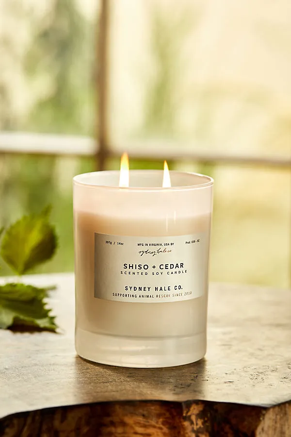 Sydney Hale Shiso + Cedar Candle by Anthropologie