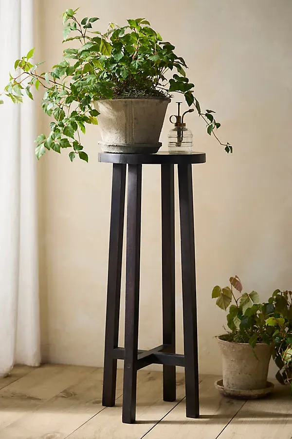 Acacia Wood Round Plant Stand - Black by Anthropologie