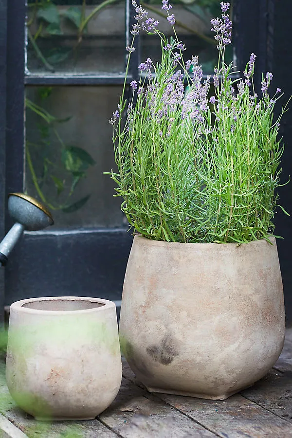 Aged Ceramic Planter - Beige, Terracotta product