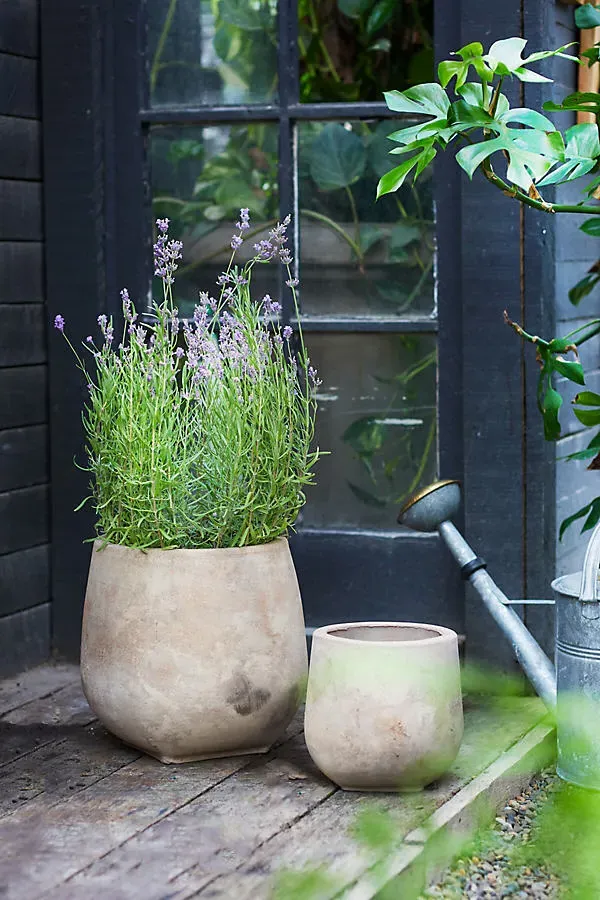 Aged Ceramic Planter - Beige, Terracotta product