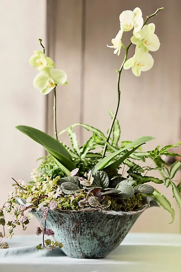 Aluminum Lotus Bowl Planter - Green product
