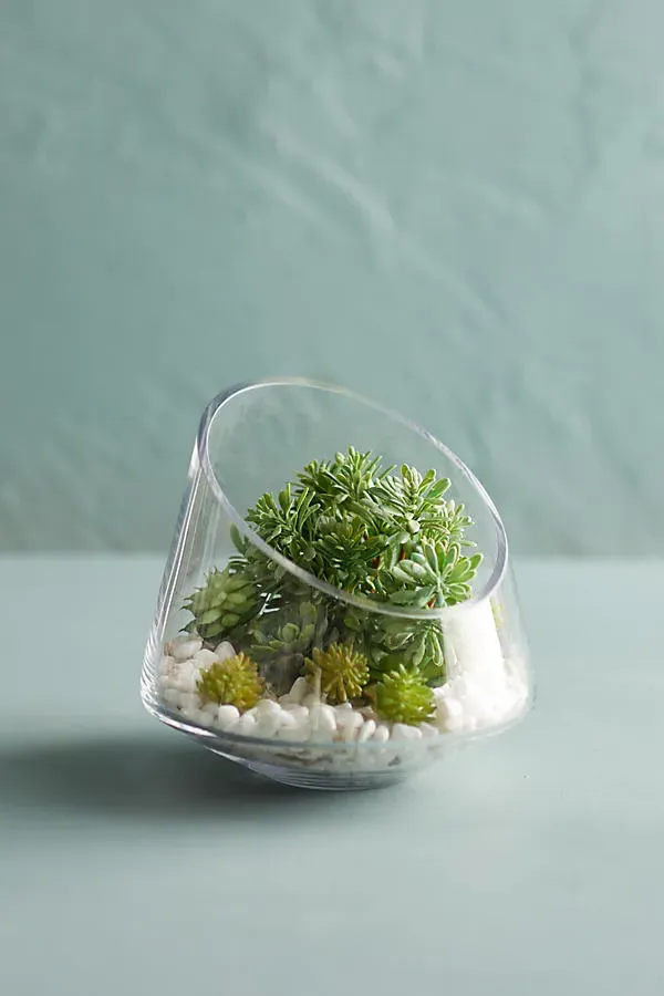 Angled Edge Terrarium - Clear, Glass by Anthropologie