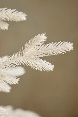 Artificial Potted Fir Tree 4' - White, Plastic by Anthropologie, image 2
