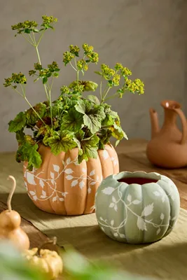 Autumn Pumpkin Terracotta Planter - Orange by Anthropologie, alternate view