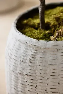 Bamboo & Fiber Jar Planter - White, Bamboo by Anthropologie, image 2