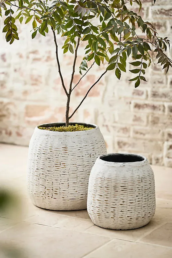 Bamboo & Fiber Jar Planter - White, Bamboo by Anthropologie