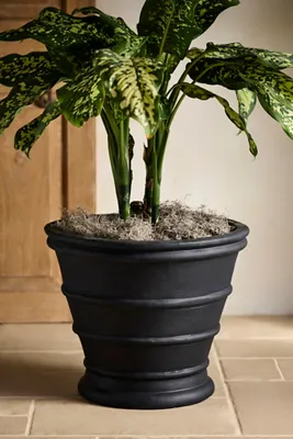 Banded Antique Terracotta Planter - Black by Anthropologie, alternate view