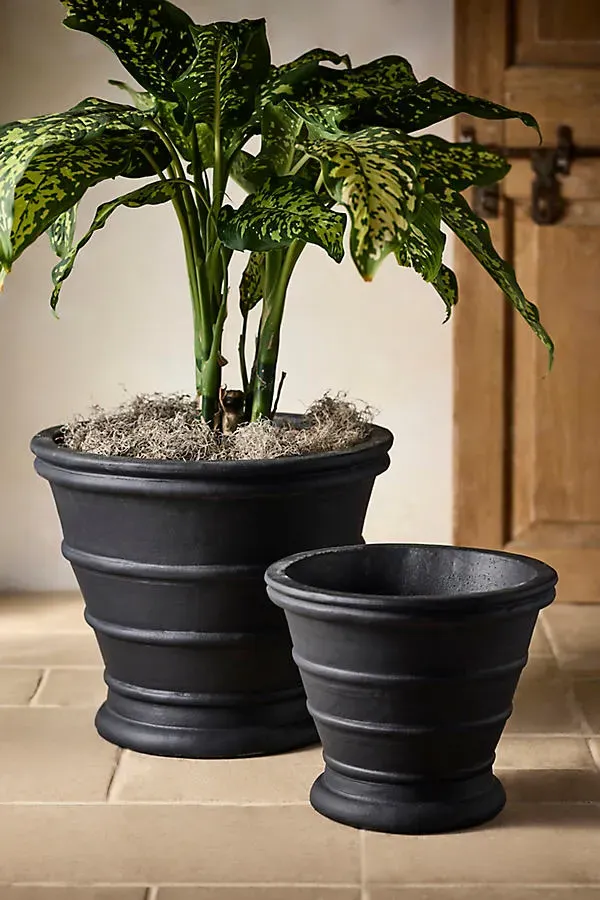 Banded Antique Terracotta Planter - Black by Anthropologie