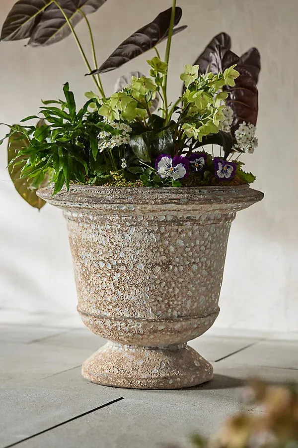Barnacle Aeros Urn - Brown by Anthropologie