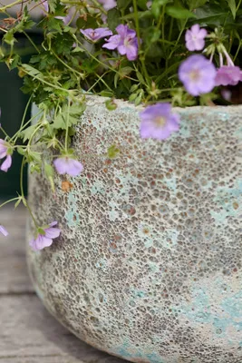 Barnacle Blue Planter - Blue product