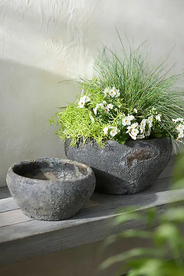 Barnacle Button Bowl Planter - Blue, Earthenware by Anthropologie