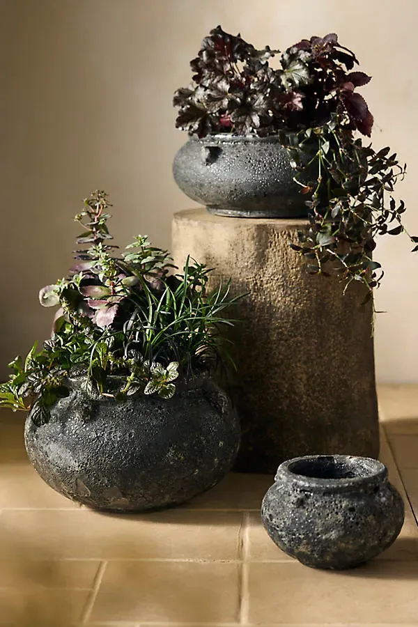Barnacle Cauldron Planter - Black, Stoneware product