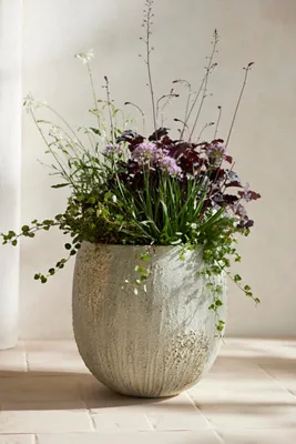 Barnacle Egg Planter - Grey, Fiber Concrete by Anthropologie, image 2