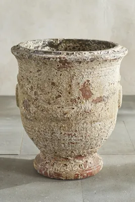 Barnacle French Urn Planter - Ivory, Earthenware product