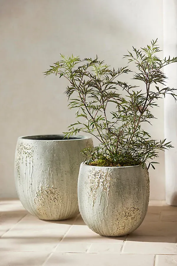Barnacle Large Egg Planter - Grey, Fiber Concrete by Anthropologie