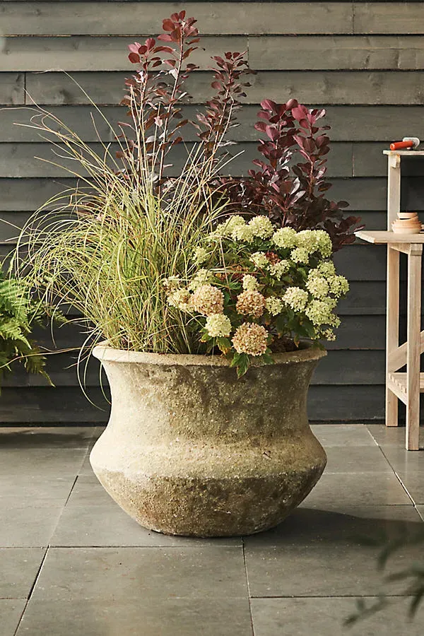 Barnacle Lotus Planter - Ivory by Anthropologie