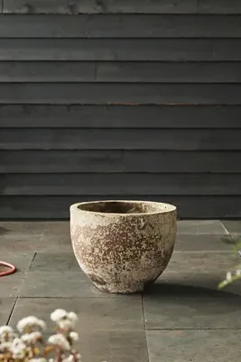 Barnacle Low Egg Pot 24" - Ivory, Earthenware by Anthropologie, alternate view
