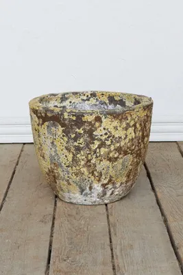 Barnacle Low Egg Pot - Earthenware product