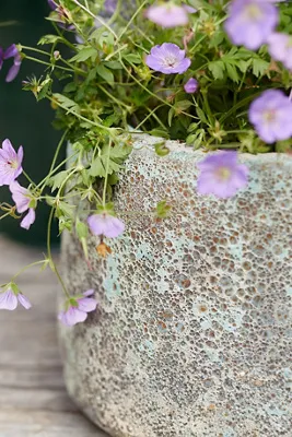 Barnacle Lucy Planter - Blue product