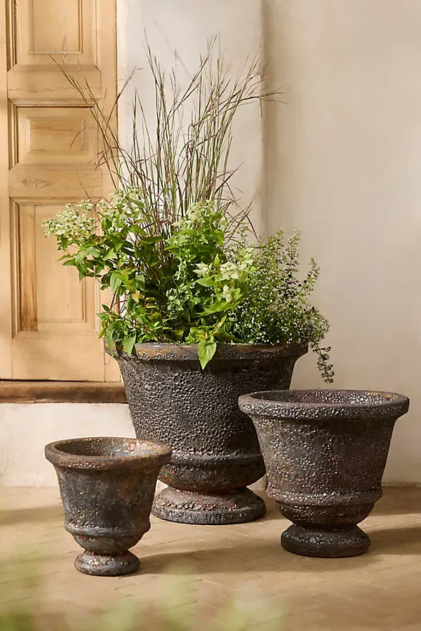 Barnacle Mars Aeros Urn - Brown by Anthropologie