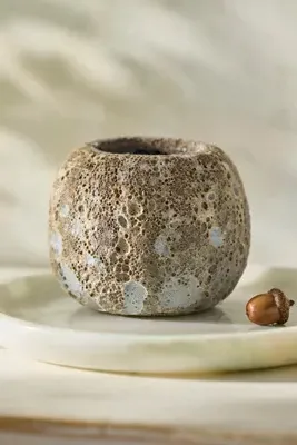 Barnacle Mini Pumpkin Planter - Ivory, Stoneware by Anthropologie, alternate view