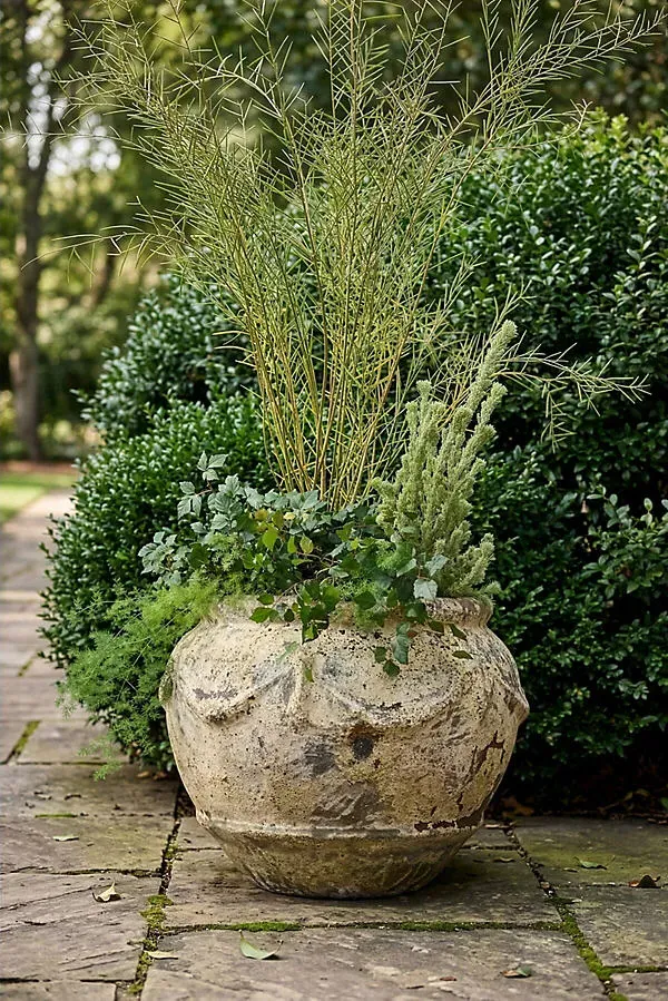 Barnacle Potpourri Planter - Beige by Anthropologie
