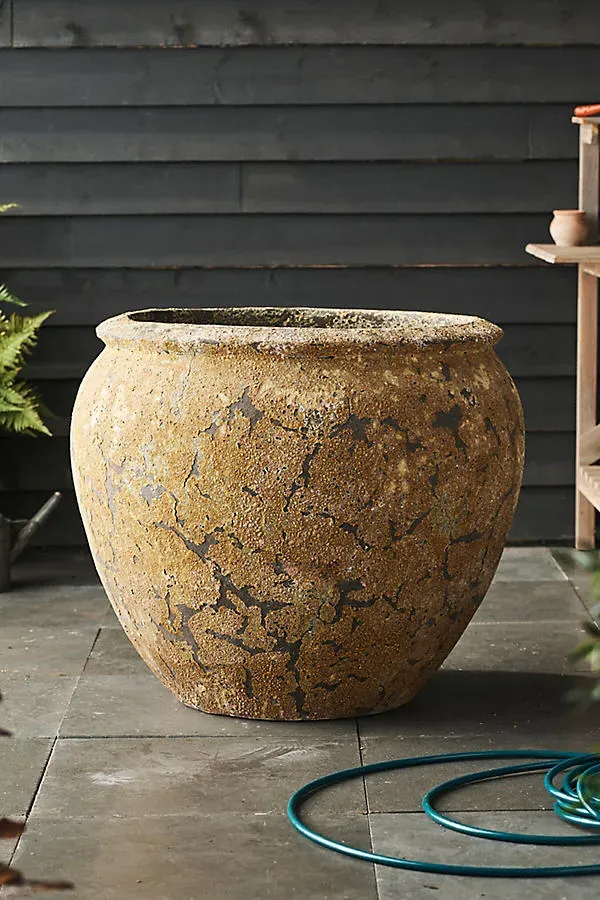 Barnacle Round Shoulder Jar - Ivory, Earthenware product
