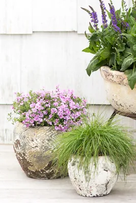 Barnacle Round Shoulder Pot - Ivory, Earthenware product