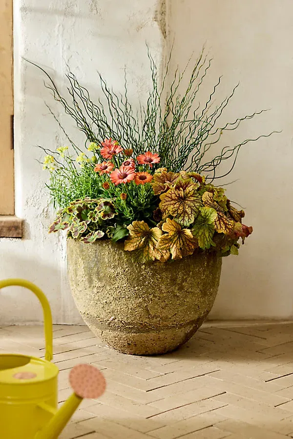Barnacle Rounded Egg Planter - Ivory product