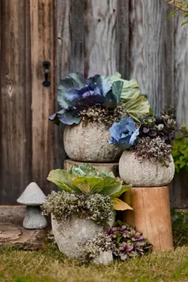 Barnacle Small Decorative Mushroom - Stoneware by Anthropologie, alternate view