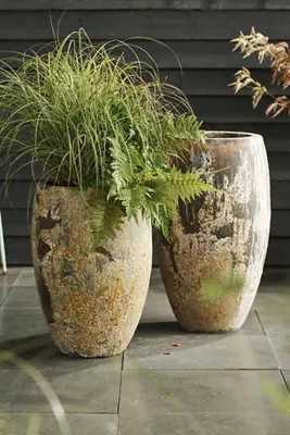 Barnacle Tall Egg Planter - Ivory by Anthropologie, alternate view