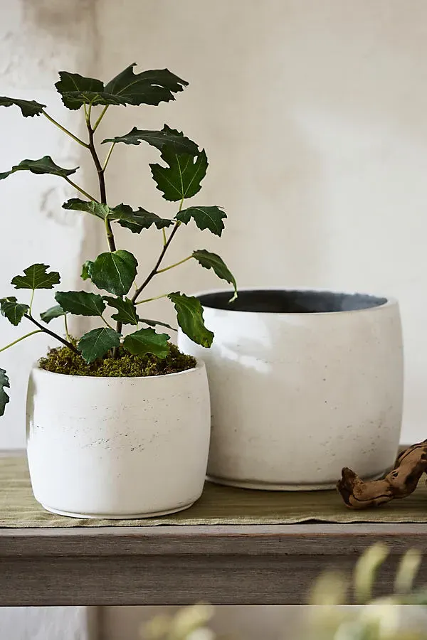 Barrel Cement Planter - White, Cement product