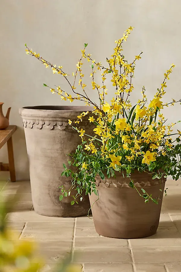 Bergs Copenhagen Terracotta Pot - Grey by Anthropologie