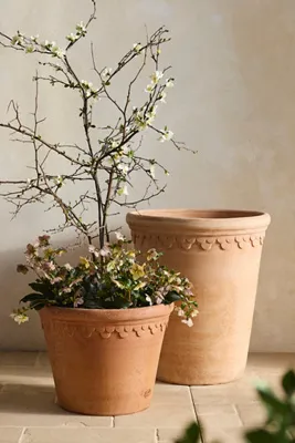 Bergs Copenhagen Terracotta Pot - Rose product