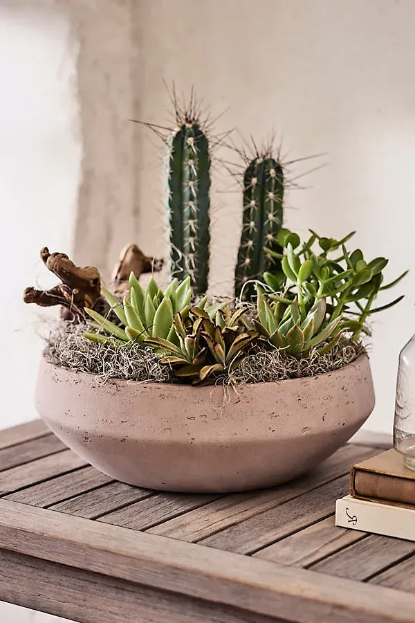 Beveled Cement Bowl Planter - Brown product