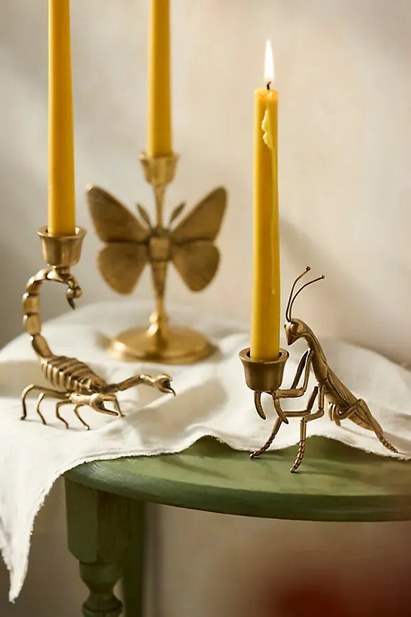 Brass Creature Medium Taper Holder - Gold, Brass product