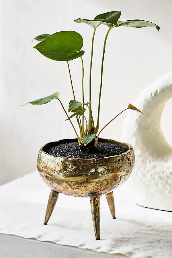 Burnished Tripod Bowl Planter - Brown, Metal product