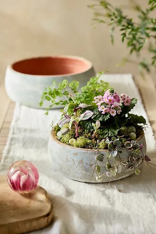 Canyon Ceramic Bowl Planter - Blue by Anthropologie